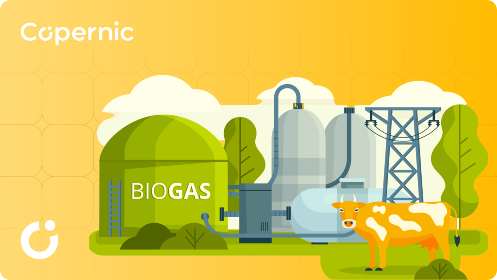 Biogazownie w Polsce i Euroie