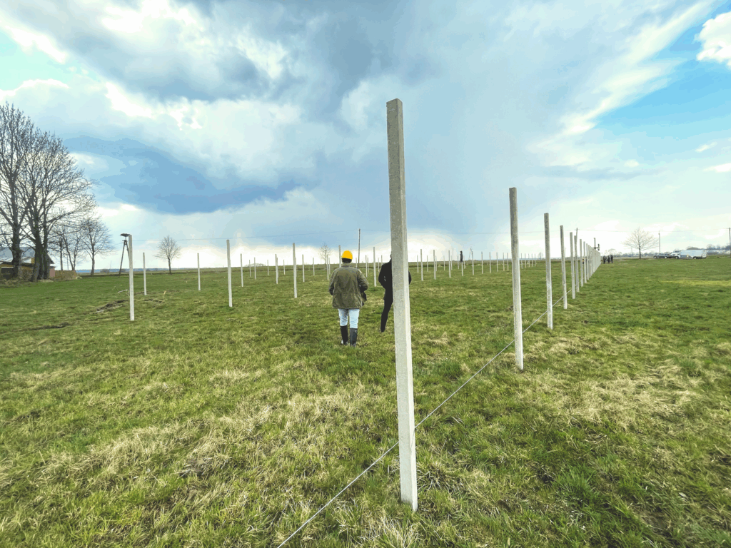 farma fotowoltaiczna stary dzików